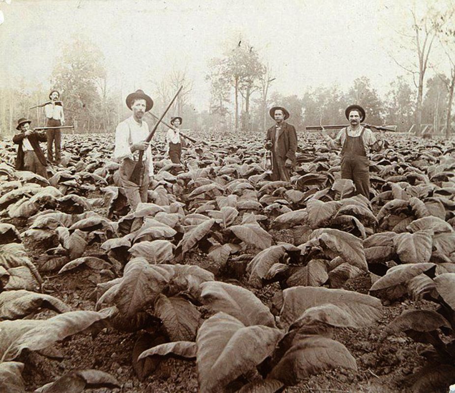 black patch tobacco wars Learn the history behind The Black Patch Steak & Seafood