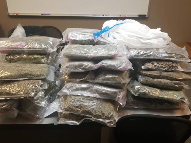 Nearly 100 pounds of marijuana, cash seized in major Clarksville drug ...