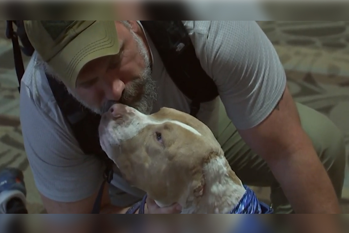 Seven heartwarming stories of 2019