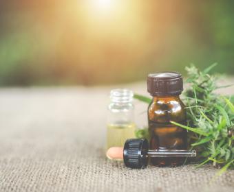 CBD Oil