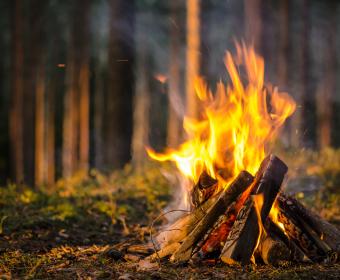 Bonfire