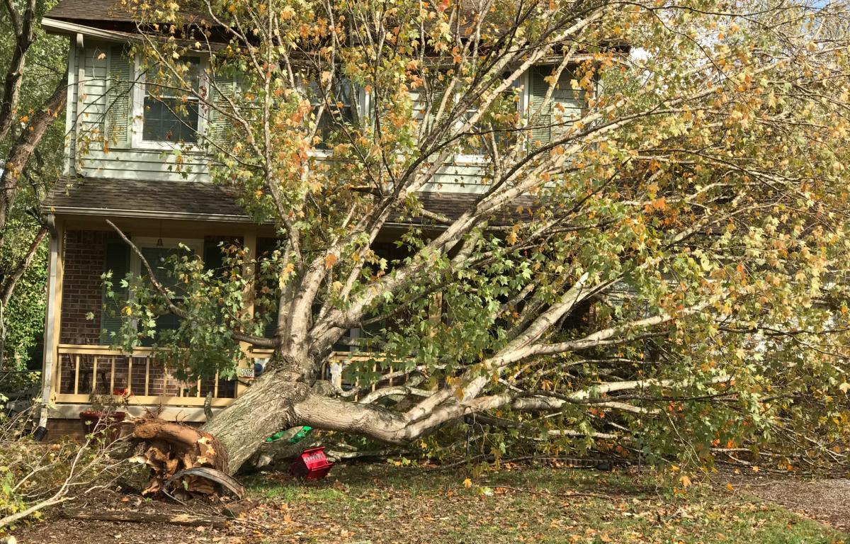 storm photo