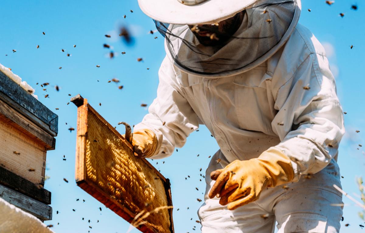 Bee Keeper