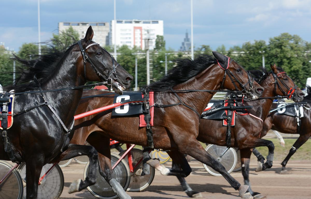 horse racing