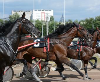 horse racing