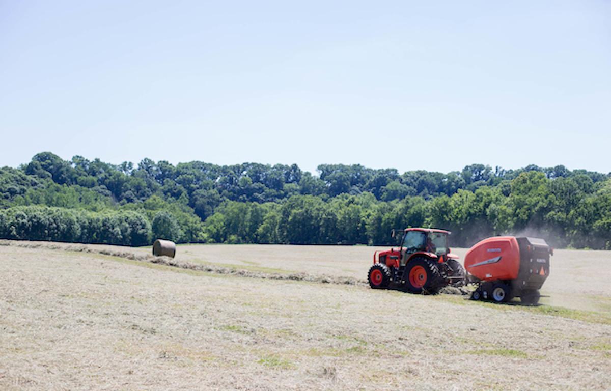 apsu agriculture scholarship