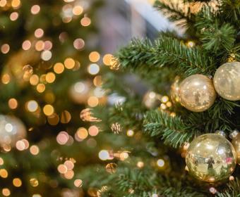 christmas tree
