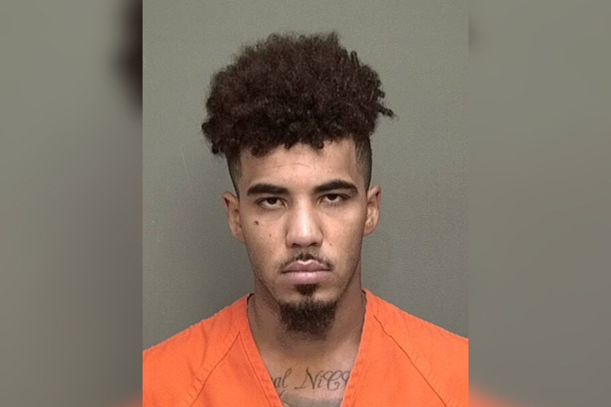 Man gets 10 years in prison for hitting Clarksville officer with car, shooting at police