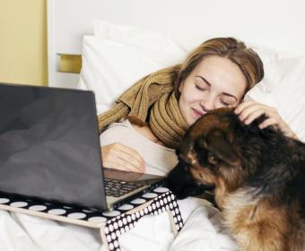 pet and owner