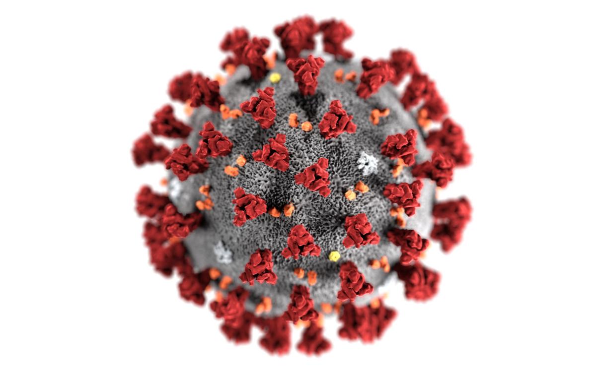 isolated COVID19