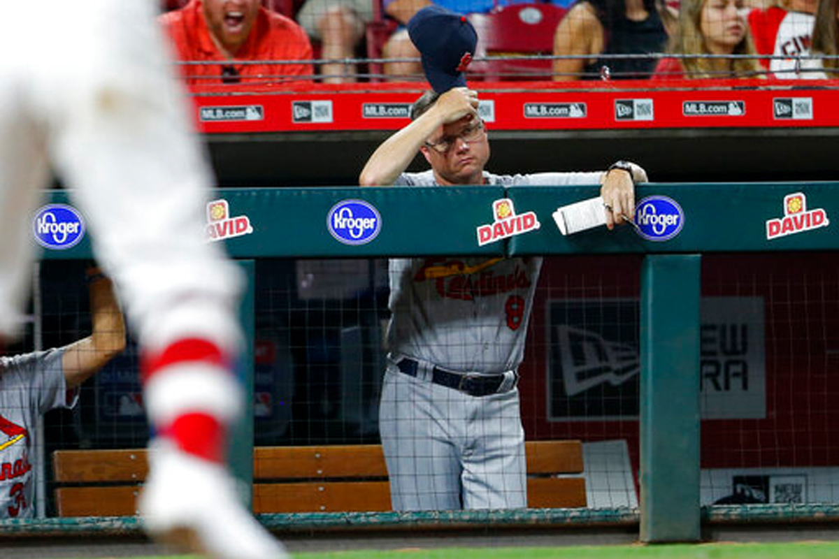 cardinals shildt