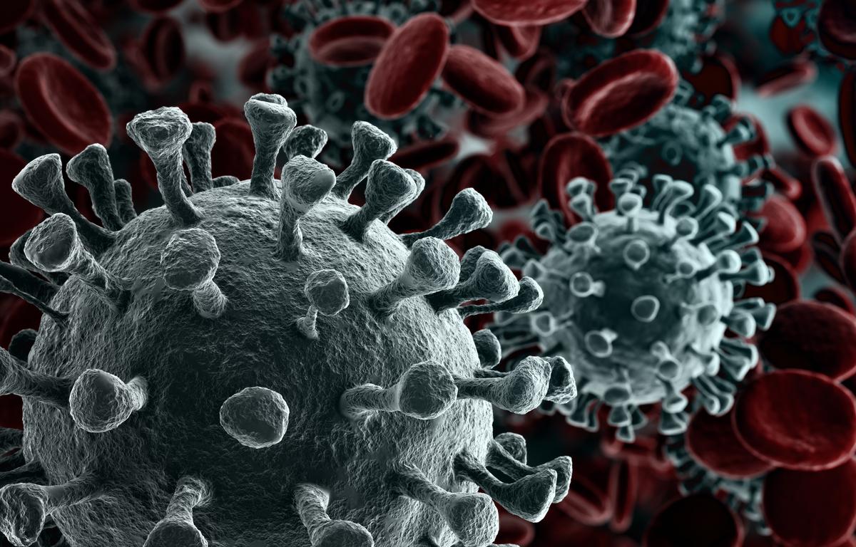 coronavirus