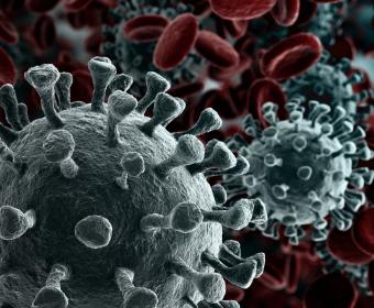 coronavirus