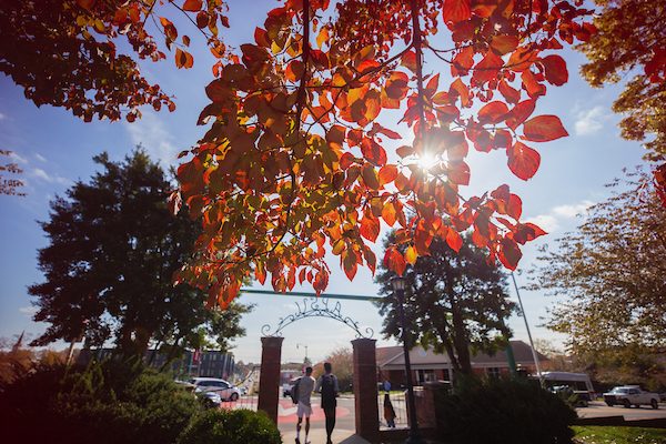 Fall at Austin Peay State University. (Clarksville Now archives)