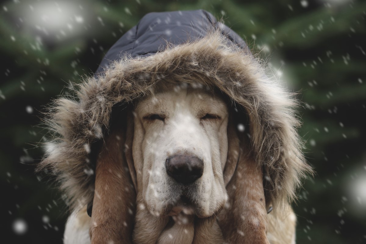 Work week weather: Cooler temps, plus a chance of snow