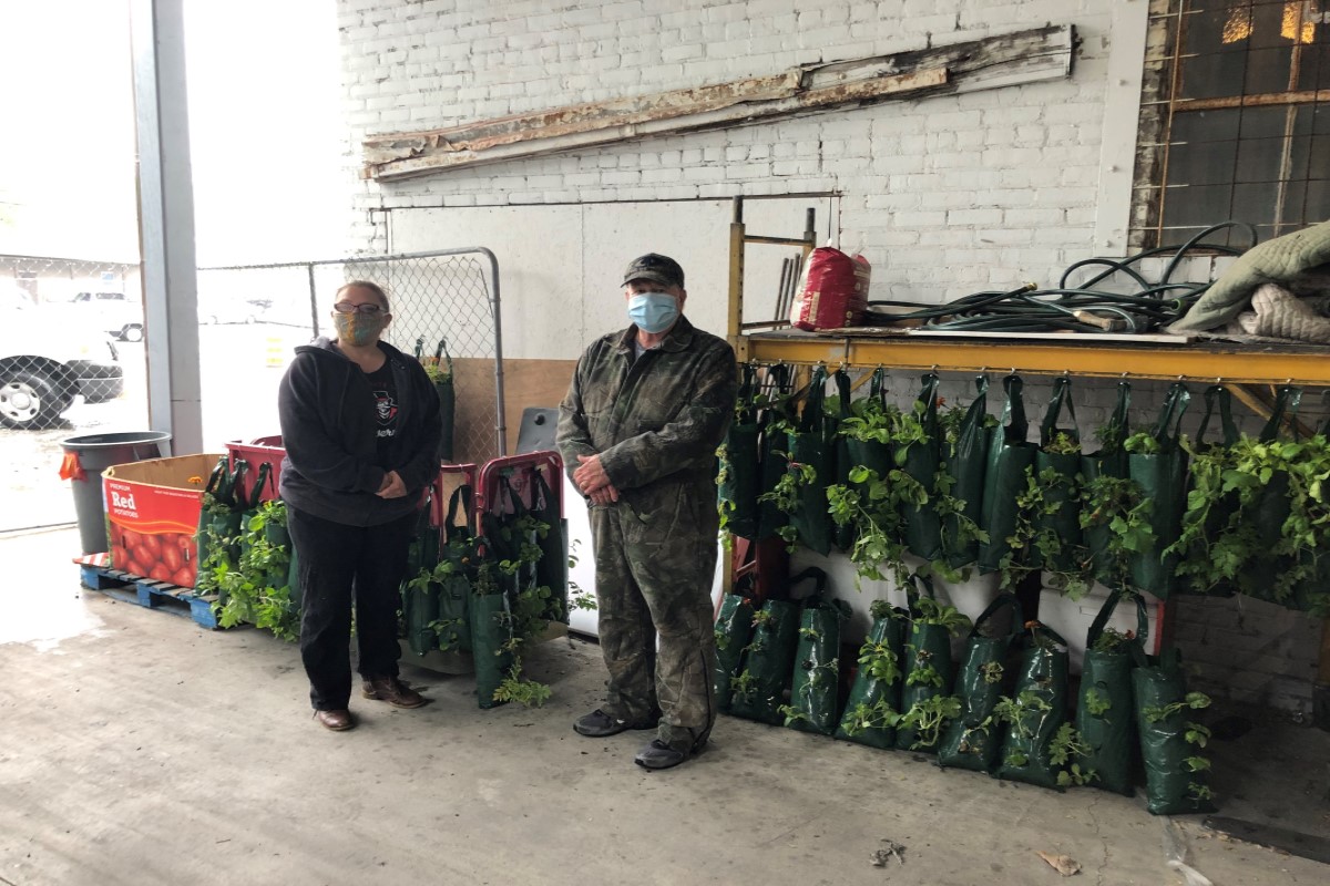 APSU agricultural students donate plants to Manna Cafe