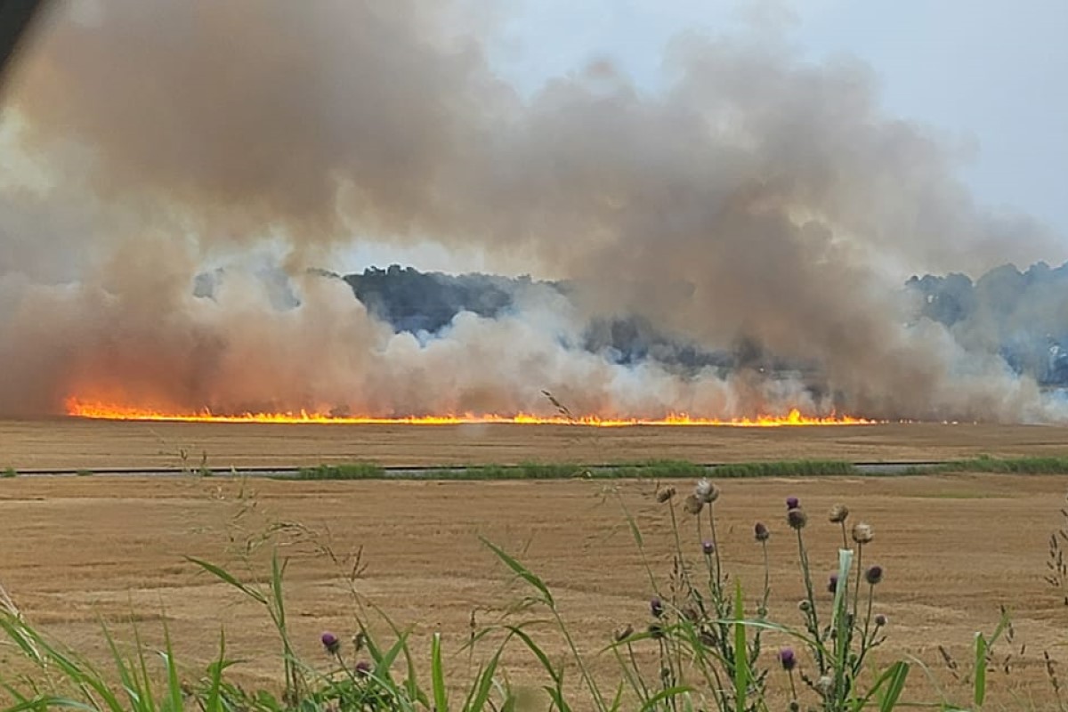 UPDATE: Field fire likely started by passing train spark, flames put out