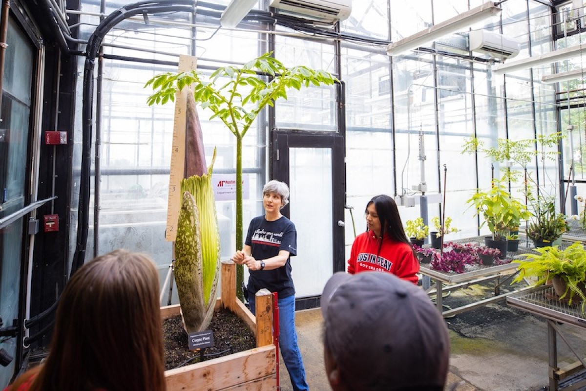 APSU-Corpse-Flower-Zeus-1200.jpg