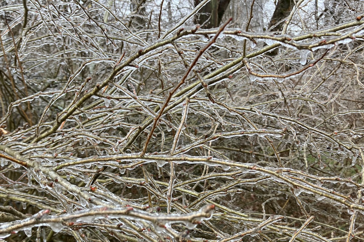 UPDATE: Slick spots reported as wet roads freeze in Montgomery County ...