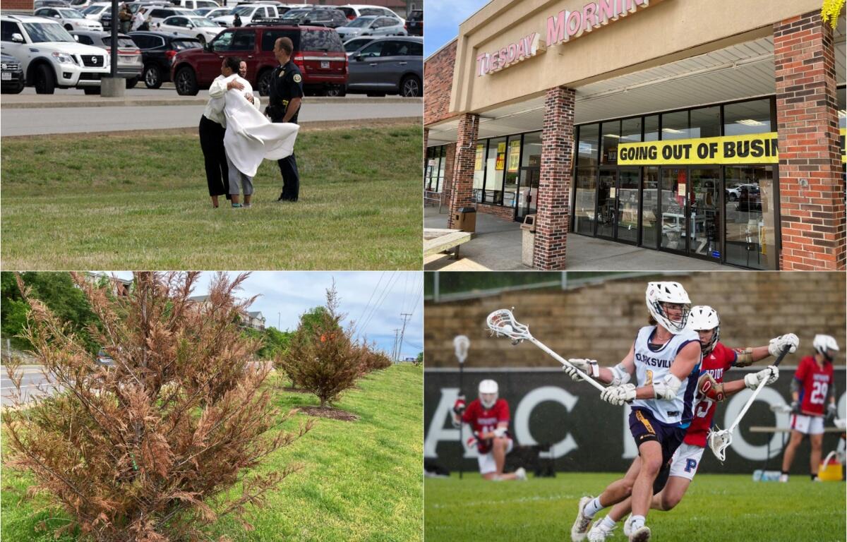 Clockwise from the top left, Rossview Elementary gun scare, Tuesday Morning closing, lacrosse in Clarksville, and dying plants.