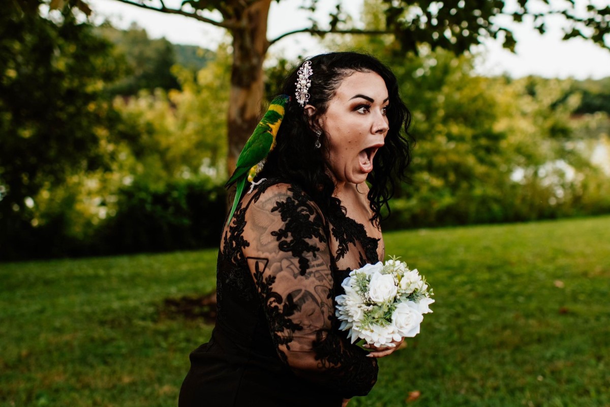 A winged wedding crasher takes over a bride’s photoshoot