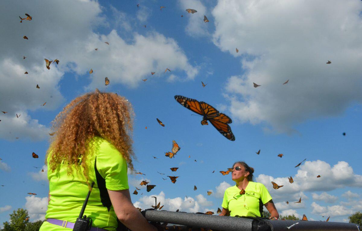 The 14th Annual Oak Grove Butterfly Festival at Oak Grove's Memorial Walking Trail on Sept. 2, 2023. (Lee Erwin)