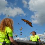 The 14th Annual Oak Grove Butterfly Festival at Oak Grove's Memorial Walking Trail on Sept. 2, 2023. (Lee Erwin)