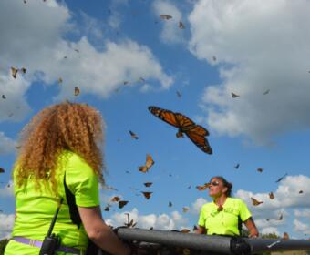 The 14th Annual Oak Grove Butterfly Festival at Oak Grove's Memorial Walking Trail on Sept. 2, 2023. (Lee Erwin)