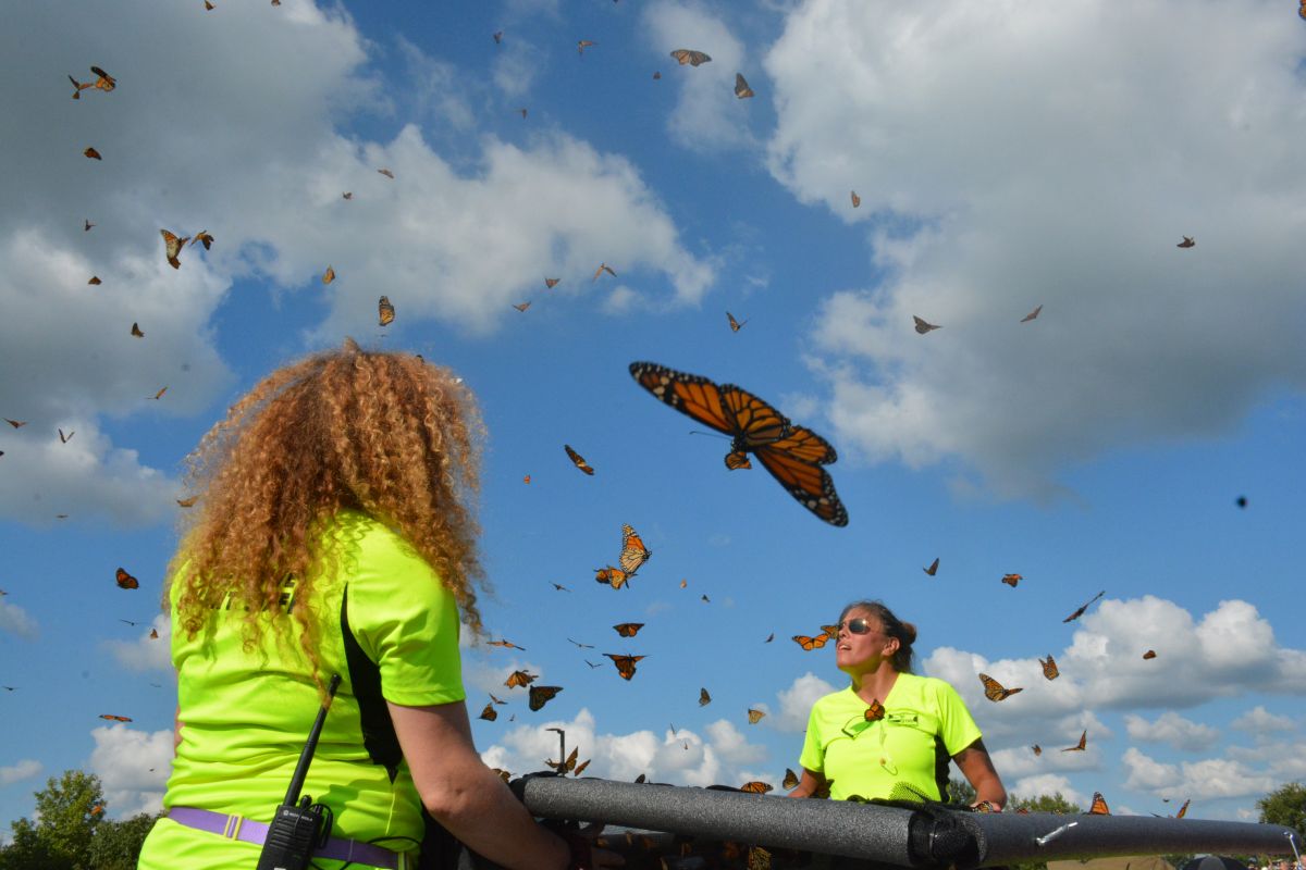 The 14th Annual Oak Grove Butterfly Festival at Oak Grove's Memorial Walking Trail on Sept. 2, 2023. (Lee Erwin)