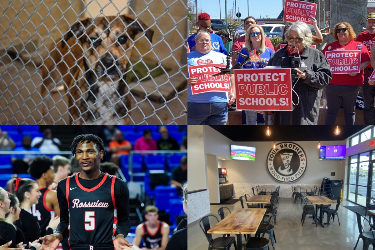 News in Clarksville: Dog euthanasia skyrockets, apartments rejected, Four Brothers Pizza and other top stories this week