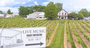Q108 Vintage Fair at Beachaven Vineyards & Winery on May 4, 2024. (Wesley Irvin)