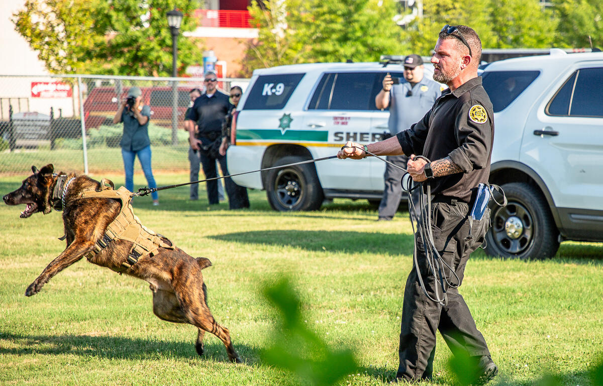 K9 bite demonstration at the annual National Night Out at Austin Peay State University's Fortera Stadium parking lot on August 6, 2024. (Wesley Irvin)