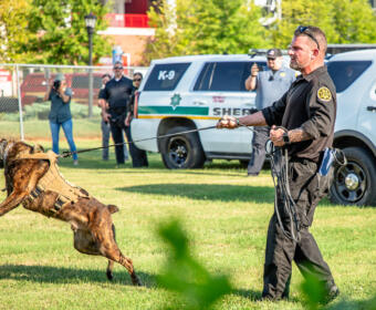 K9 bite demonstration at the annual National Night Out at Austin Peay State University's Fortera Stadium parking lot on August 6, 2024. (Wesley Irvin)
