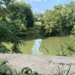The view looking north where the pedestrian bridge will be built across the Red River, shown on Aug. 5, 2024. (Chris Smith)