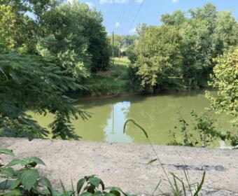 The view looking north where the pedestrian bridge will be built across the Red River, shown on Aug. 5, 2024. (Chris Smith)