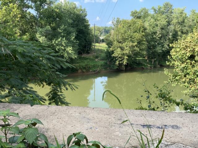 The view looking north where the pedestrian bridge will be built across the Red River, shown on Aug. 5, 2024. (Chris Smith)