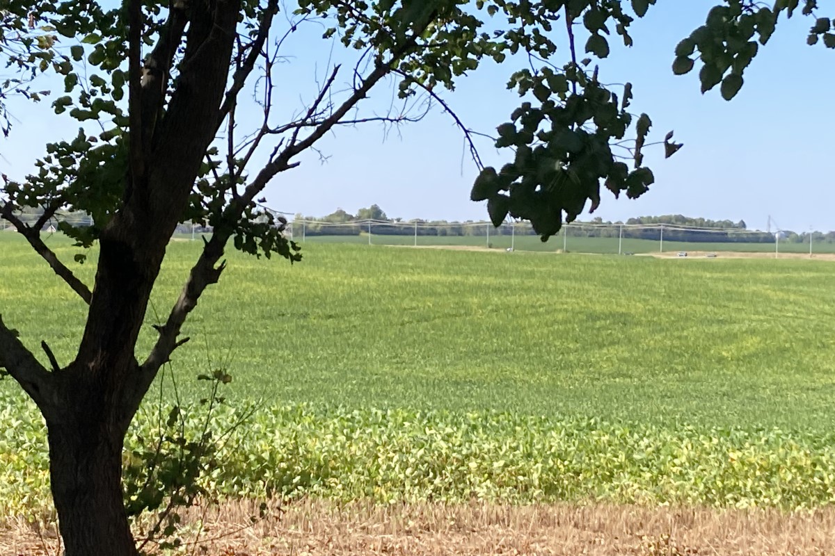 Autumnwood Farms subdivision with 152 lots considered off Tiny Town Road Autumnwood Farms subdivision with 152 lots considered off Tiny Town Road