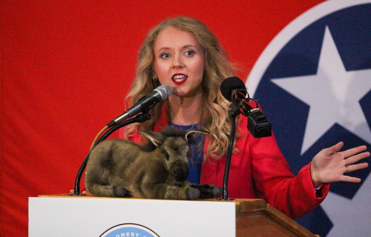 Allie Phillips at Hilton Garden Inn, 290 Alfred Thun Rd, Clarksville, TN 37040. Democratic watch party, Nov. 5 2024. (Knox Rives)