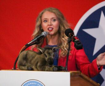 Allie Phillips at Hilton Garden Inn, 290 Alfred Thun Rd, Clarksville, TN 37040. Democratic watch party, Nov. 5 2024. (Knox Rives)