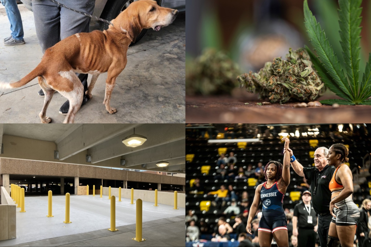 News in Clarksville: Walmart shooting details, dog rescue problems, seed bank fails and other top stories this week