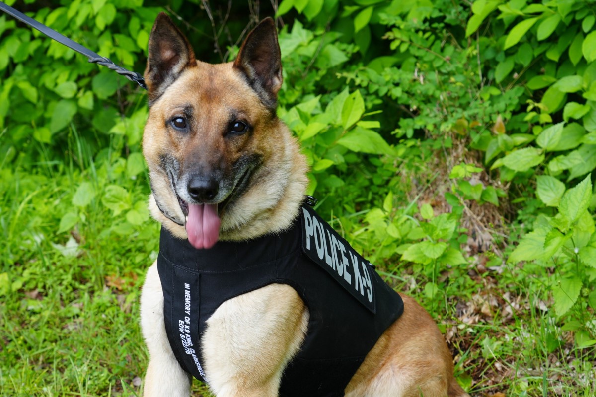 Clarksville Police Department’s K9s Rizzo, Drako, Chase, Joker, & Riggs ...