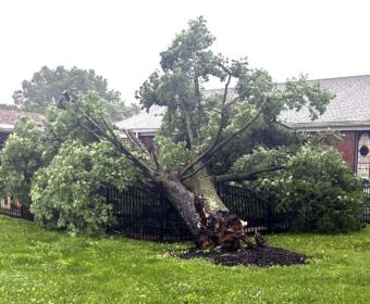A tree down at Sango United Methodist Church on May 20, 2025. (Edward Long, contributed)