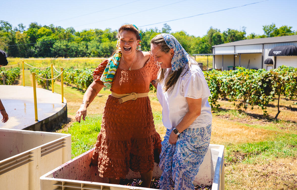 Harvestfest at Beachaven Vineyards & Winery on August 30, 2025. (Wesley Irvin)