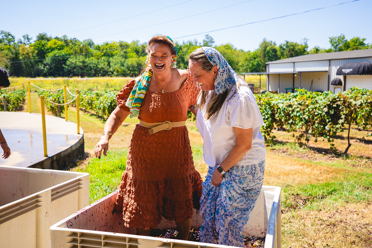 Harvestfest at Beachaven Vineyards & Winery on August 30, 2025. (Wesley Irvin)