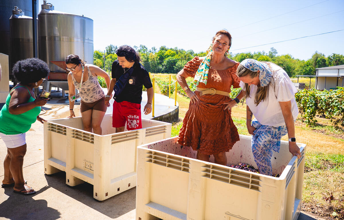 Harvestfest at Beachaven Vineyards & Winery on August 30, 2025. (Wesley Irvin)