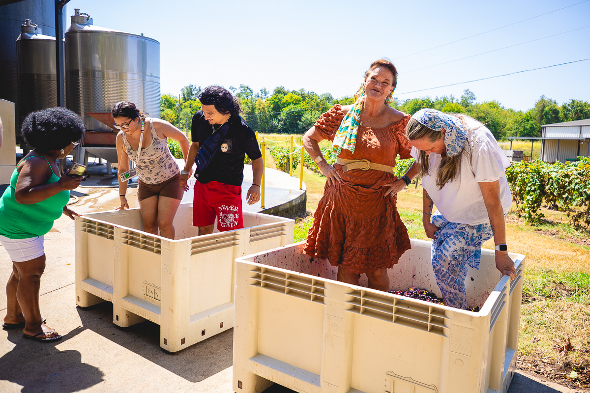 Harvestfest at Beachaven Vineyards & Winery on August 30, 2025. (Wesley Irvin)