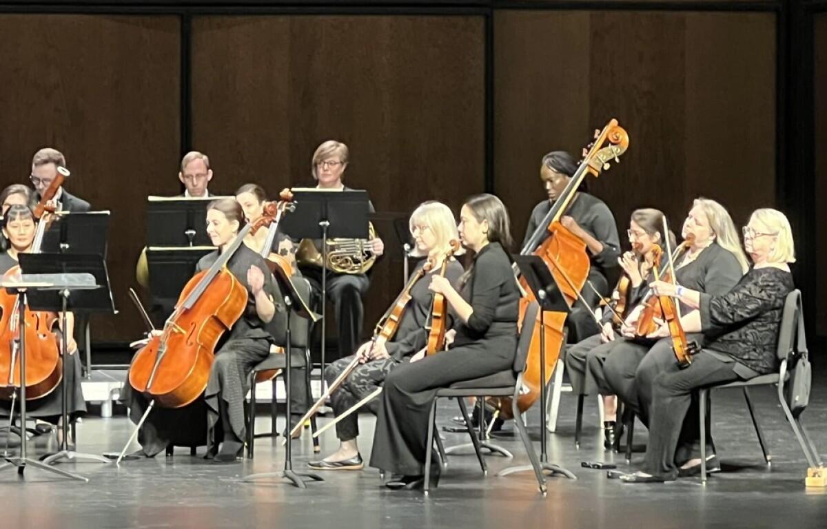 The Gateway Chamber Orchestra (Contributed)