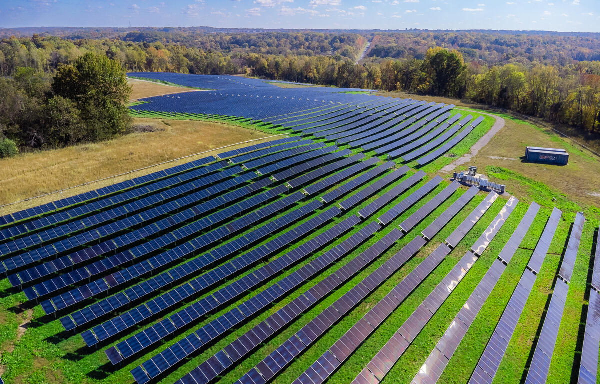Solar farm off Exit 8 in Clarksville on Oct. 31, 2025. (Wesley Irvin)