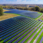 Solar farm off Exit 8 in Clarksville on Oct. 31, 2025. (Wesley Irvin)