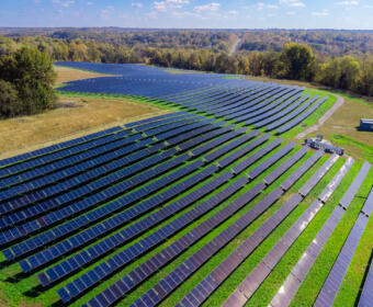 Solar farm off Exit 8 in Clarksville on Oct. 31, 2025. (Wesley Irvin)